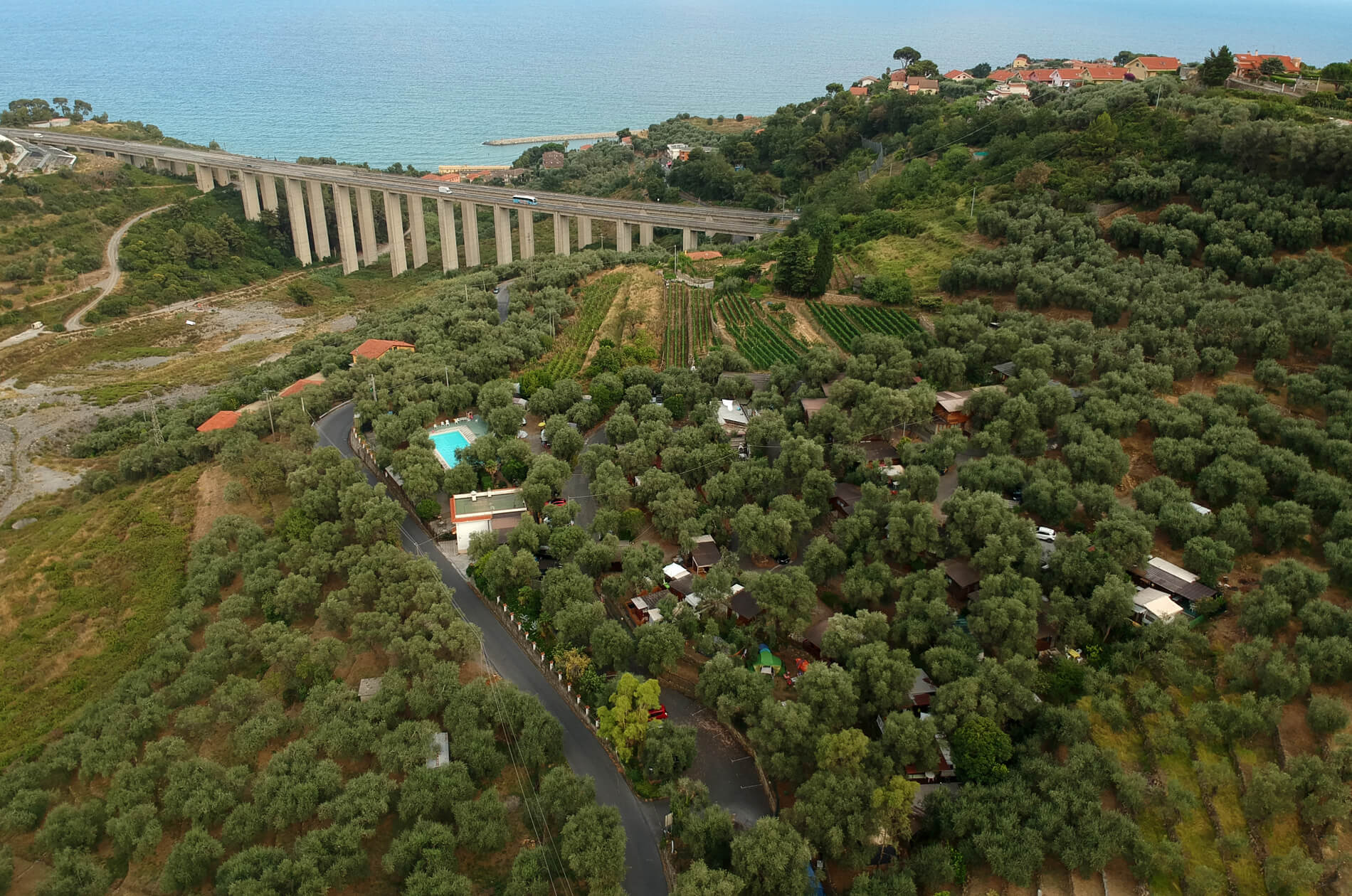 Campsite panoramic view